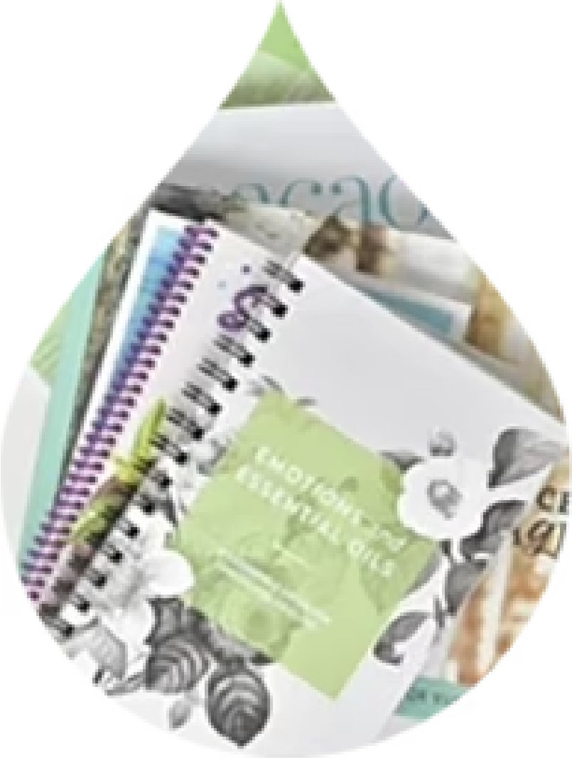  Образование